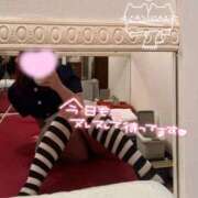 ヒメ日記 2025/10/11 08:29 投稿 かな ラズベリードール