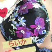 ヒメ日記 2025/02/09 05:30 投稿 らいか 京都BOOK MARK（ブックマーク）