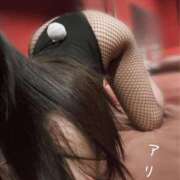 ヒメ日記 2025/02/09 17:12 投稿 アリス【おっとり激カワ痴女】 ドMなバニーちゃん和歌山店