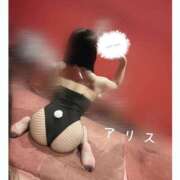 ヒメ日記 2025/03/17 20:04 投稿 アリス【おっとり激カワ痴女】 ドMなバニーちゃん和歌山店