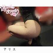 ヒメ日記 2025/04/05 20:58 投稿 アリス【おっとり激カワ痴女】 ドMなバニーちゃん和歌山店