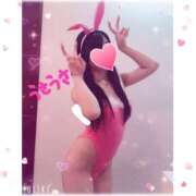 ヒメ日記 2025/04/07 00:54 投稿 アリス【おっとり激カワ痴女】 ドMなバニーちゃん和歌山店