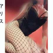 ヒメ日記 2025/04/07 17:45 投稿 アリス【おっとり激カワ痴女】 ドMなバニーちゃん和歌山店