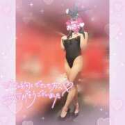 ヒメ日記 2025/05/04 21:26 投稿 アリス【おっとり激カワ痴女】 ドMなバニーちゃん和歌山店