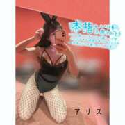 ヒメ日記 2025/05/24 16:12 投稿 アリス【おっとり激カワ痴女】 ドMなバニーちゃん和歌山店