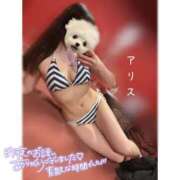 ヒメ日記 2025/06/10 09:18 投稿 アリス【おっとり激カワ痴女】 ドMなバニーちゃん和歌山店