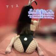 ヒメ日記 2025/06/21 09:10 投稿 アリス【おっとり激カワ痴女】 ドMなバニーちゃん和歌山店