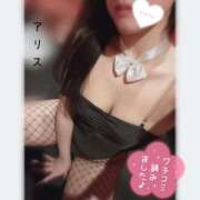 ヒメ日記 2025/06/30 16:04 投稿 アリス【おっとり激カワ痴女】 ドMなバニーちゃん和歌山店