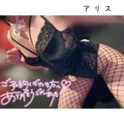 ヒメ日記 2025/09/08 01:05 投稿 アリス【おっとり激カワ痴女】 ドMなバニーちゃん和歌山店