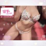 ヒメ日記 2025/10/29 21:31 投稿 アリス【おっとり激カワ痴女】 ドMなバニーちゃん和歌山店