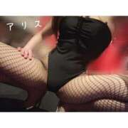 ヒメ日記 2025/11/08 00:45 投稿 アリス【おっとり激カワ痴女】 ドMなバニーちゃん和歌山店