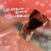 ヒメ日記 2025/11/11 00:04 投稿 アリス【おっとり激カワ痴女】 ドMなバニーちゃん和歌山店