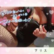 ヒメ日記 2025/11/20 12:47 投稿 アリス【おっとり激カワ痴女】 ドMなバニーちゃん和歌山店