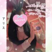 ヒメ日記 2025/11/25 13:30 投稿 アリス【おっとり激カワ痴女】 ドMなバニーちゃん和歌山店