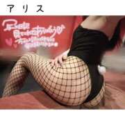 ヒメ日記 2025/12/09 09:29 投稿 アリス【おっとり激カワ痴女】 ドMなバニーちゃん和歌山店