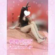 ヒメ日記 2025/12/09 13:42 投稿 アリス【おっとり激カワ痴女】 ドMなバニーちゃん和歌山店