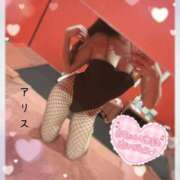 ヒメ日記 2026/02/08 18:05 投稿 アリス【おっとり激カワ痴女】 ドMなバニーちゃん和歌山店