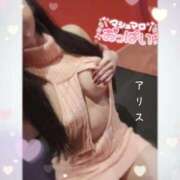 ヒメ日記 2026/02/14 15:19 投稿 アリス【おっとり激カワ痴女】 ドMなバニーちゃん和歌山店