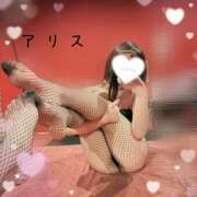 ヒメ日記 2026/03/08 19:04 投稿 アリス【おっとり激カワ痴女】 ドMなバニーちゃん和歌山店