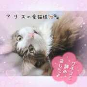 ヒメ日記 2026/03/23 12:25 投稿 アリス【おっとり激カワ痴女】 ドMなバニーちゃん和歌山店