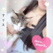 ヒメ日記 2026/03/24 13:34 投稿 アリス【おっとり激カワ痴女】 ドMなバニーちゃん和歌山店