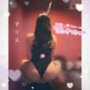 ヒメ日記 2026/05/04 09:04 投稿 アリス【おっとり激カワ痴女】 ドMなバニーちゃん和歌山店