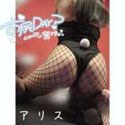 アリス【おっとり激カワ痴女】 5月最後の出勤️🩵 ドMなバニーちゃん和歌山店