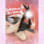 ヒメ日記 2026/06/22 17:44 投稿 アリス【おっとり激カワ痴女】 ドMなバニーちゃん和歌山店