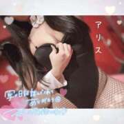 ヒメ日記 2026/10/12 15:54 投稿 アリス【おっとり激カワ痴女】 ドMなバニーちゃん和歌山店