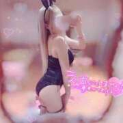 ヒメ日記 2025/04/10 10:29 投稿 ぷりん アイドルソープ　萌えっ娘学園