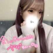 ヒメ日記 2025/04/21 09:29 投稿 ぷりん アイドルソープ　萌えっ娘学園