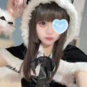 ヒメ日記 2026/01/12 04:32 投稿 にいな ホワイトベル