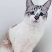 ヒメ日記 2025/02/22 10:12 投稿 なぎ 脱がされたい人妻 厚木店