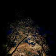 ヒメ日記 2025/03/25 22:23 投稿 なぎ 脱がされたい人妻 厚木店