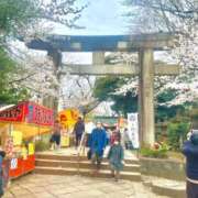 ヒメ日記 2025/04/04 21:25 投稿 なぎ 脱がされたい人妻 厚木店