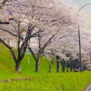 ヒメ日記 2025/04/09 20:40 投稿 なぎ 脱がされたい人妻 厚木店