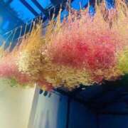 ヒメ日記 2025/07/21 11:00 投稿 なぎ 脱がされたい人妻 厚木店