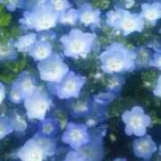 ヒメ日記 2026/01/14 16:55 投稿 なぎ 脱がされたい人妻 厚木店