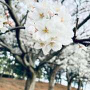 ヒメ日記 2025/04/05 12:23 投稿 飴宮 BBW五反田店