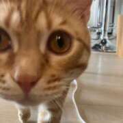 ヒメ日記 2025/03/31 01:58 投稿 とあ 俺のKissリフレ