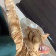 ヒメ日記 2025/05/11 17:08 投稿 とあ 俺のKissリフレ