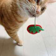 ヒメ日記 2025/05/27 20:08 投稿 とあ 俺のKissリフレ