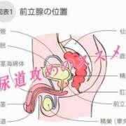 あず 尿道攻めのススメ❤️ 五反田痴女性感フェチ倶楽部