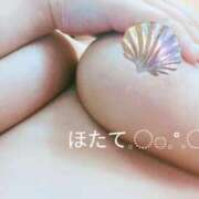 ヒメ日記 2025/04/24 18:48 投稿 ほたて ぷるりんクエスト上野浅草鶯谷秋葉原デリヘル王国