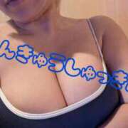 ほたて おひさしぶりです！ ぷるりんクエスト上野浅草鶯谷秋葉原デリヘル王国