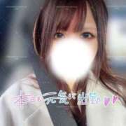 ヒメ日記 2025/04/05 15:08 投稿 いおり 東京アロマスタイル