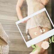 ヒメ日記 2025/06/19 18:18 投稿 ましろ ノーパンエステ!?絶頂させる天使たち