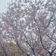 野上こころ モノクロレター ABC 岩手ソープ