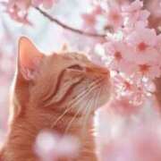 ヒメ日記 2026/04/04 14:55 投稿 かずな イチャイチャが止まらない ウエスト・コム