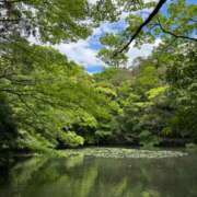 ヒメ日記 2025/06/06 06:46 投稿 なぎさ 大人の色気！ ウエスト・コム